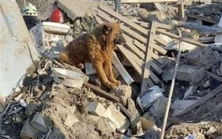 Highlands for Ukraine seeks donations to send to civilians living in war zone
